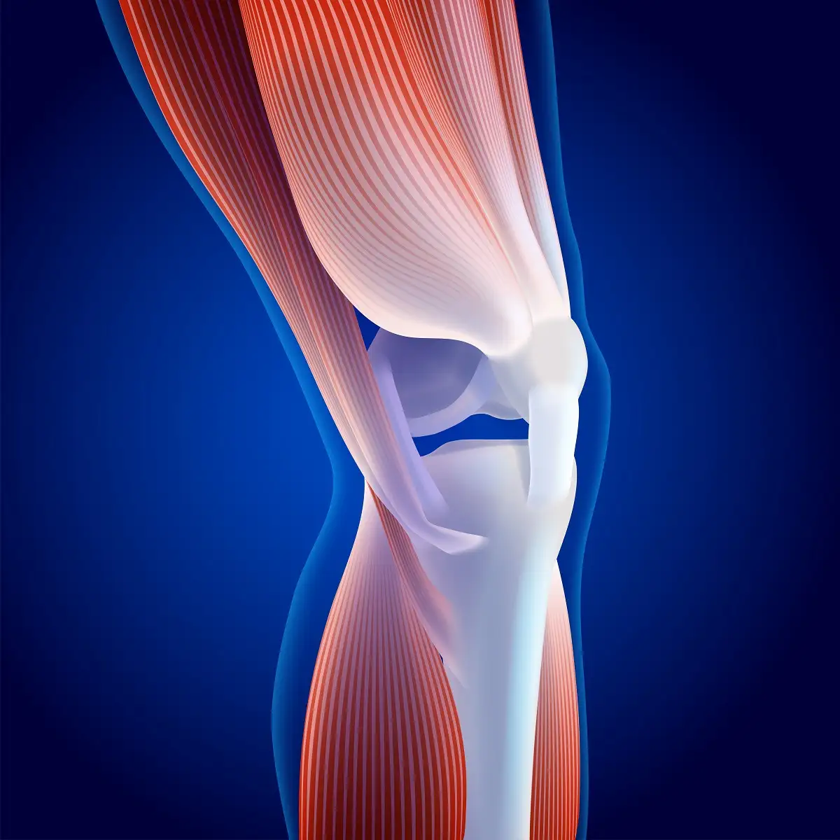 Best Total Joint Reconstruction in Chennai | CTS Hospitals