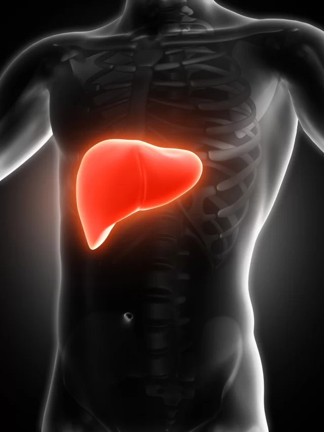 3d-medical-image-showing-liver