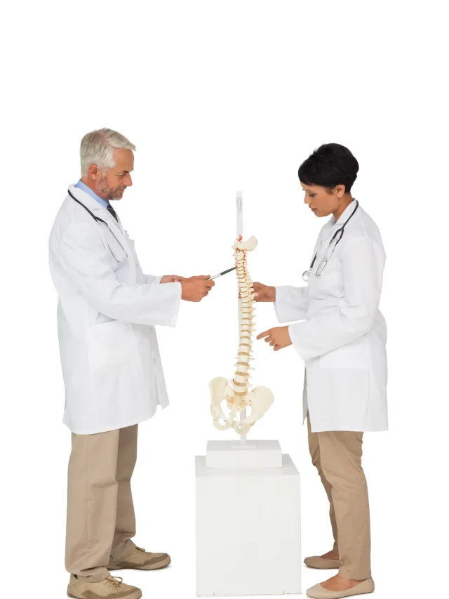 side-view-two-doctors-pointing-skeleton-model